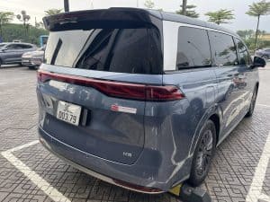 BYD M9
